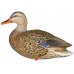 Мюретата зеленоглава патица AvianX full body 6 бр. 