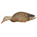 Мюретата зеленоглава патица AvianX full body 6 бр. 