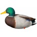 Мюретата зеленоглава патица AvianX full body 6 бр. 
