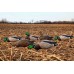 Мюретата зеленоглава патица AvianX full body 6 бр. 