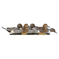 Мюрета шилоопашата патица Avian-X Мюрета шилоопашата патица Avian-X
