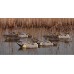 Мюрета шилоопашата патица Avian-X Мюрета шилоопашата патица Avian-X