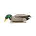 Мюрета зеленоглава патица Avian-X Back Water - 6 бр. Мюрета зеленоглава патица Avian-X Back Water - 6 бр.