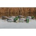 Мюрета зеленоглава патица Avian-X Back Water - 6 бр. Мюрета зеленоглава патица Avian-X Back Water - 6 бр.