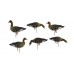 Мюрета белочела гъска Avian-X Fully flocked - 6 броя