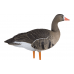 Мюрета белочела гъска Avian-X Fully flocked - 6 броя
