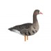 Мюрета белочела гъска Avian-X Fully flocked - 6 броя