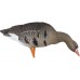 Мюрета белочела гъска Avian-X Fully flocked - 6 броя