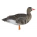 Мюрета белочела гъска Avian-X Fully flocked - 6 броя